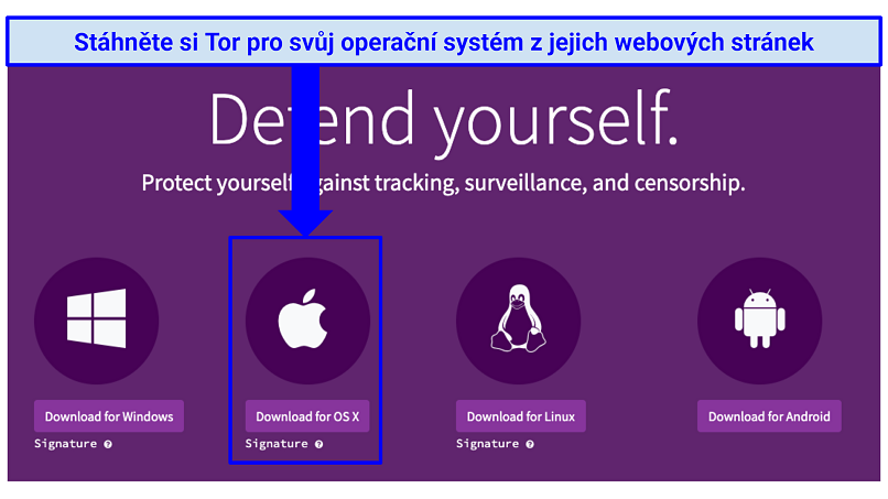 The Tor download webpage with indication of where to click to download Tor for OS X