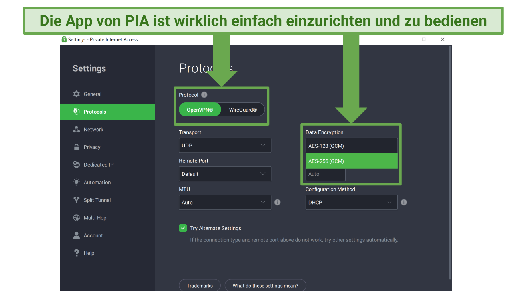 Screenshot of PIA's app showing the customizable settings