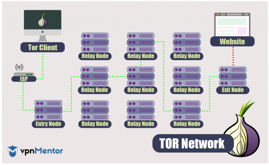 Infographic showing how a user's traffic travels through Tor's nodes