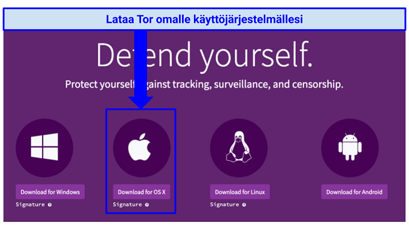 The Tor download webpage with indication of where to click to download Tor for OS X