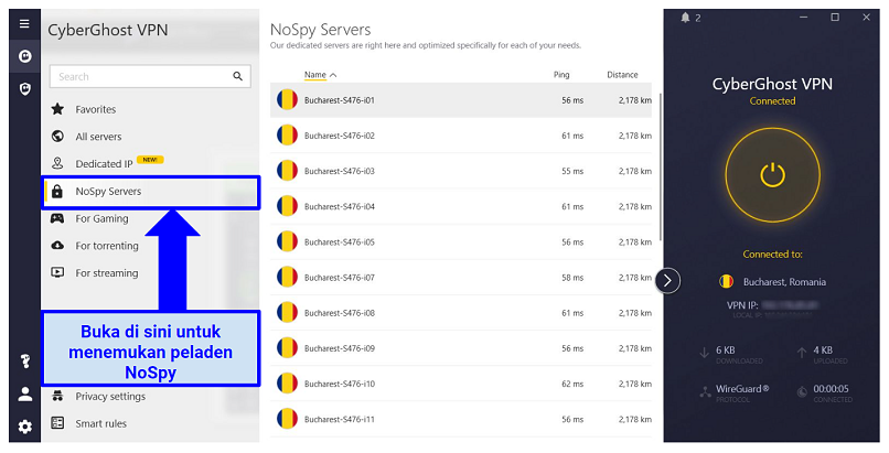 graphic showing NoSpy servers