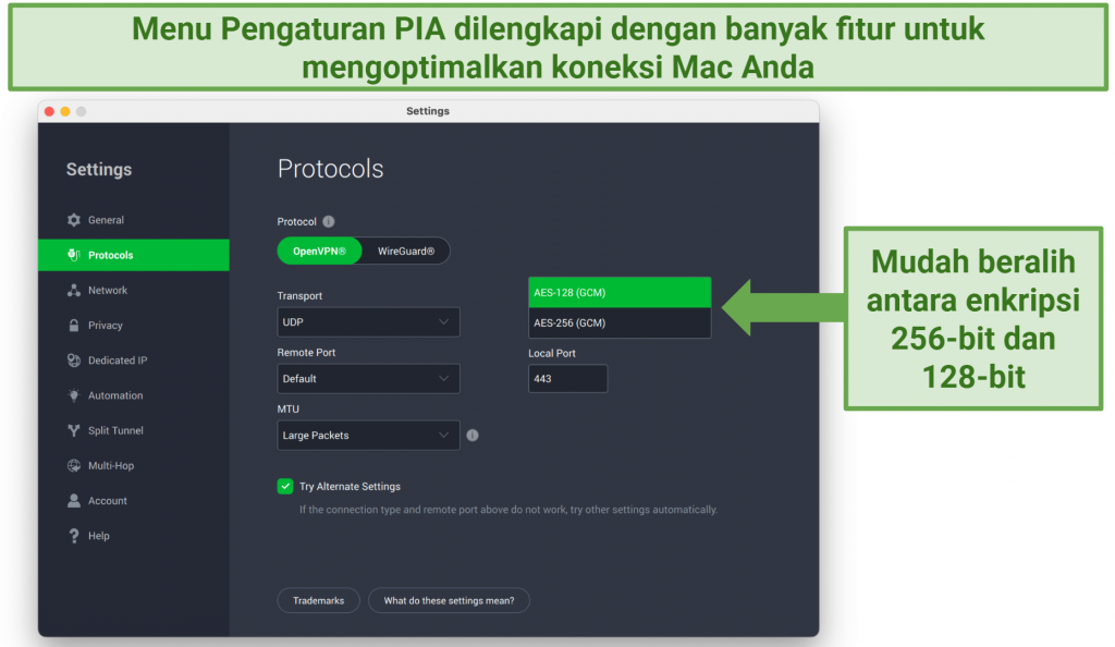 Screenshot showing how to toggle encryption levels on the PIA Settings menu