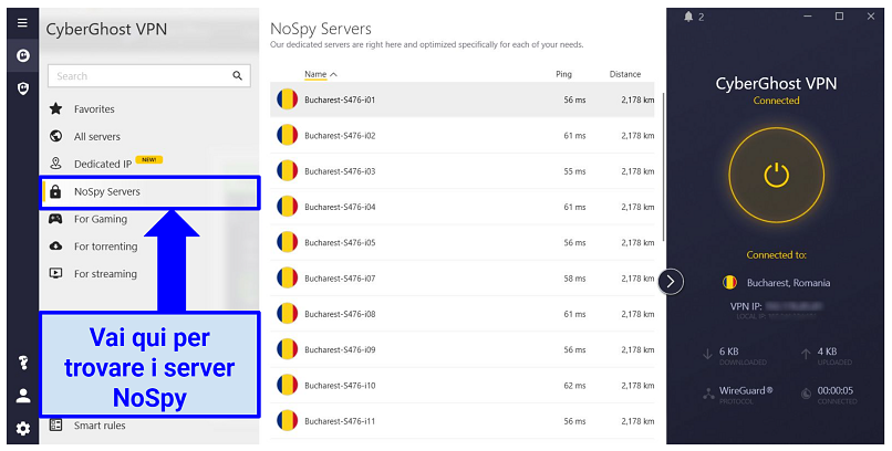 graphic showing NoSpy servers