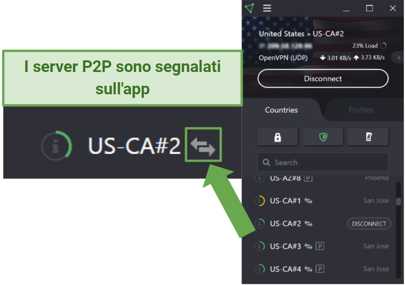 Screenshot of P2P servers in the Proton VPN app