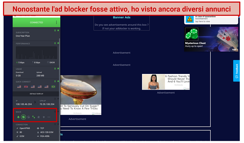 Screenshot of Can You Block It? site accessed while connected to Private Internet Access with MACE ad-blocker activated