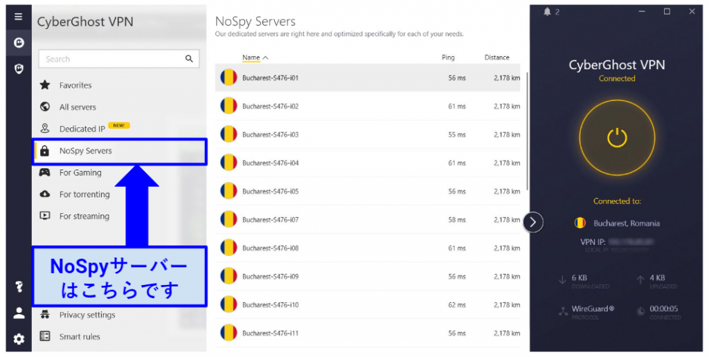 graphic showing NoSpy servers