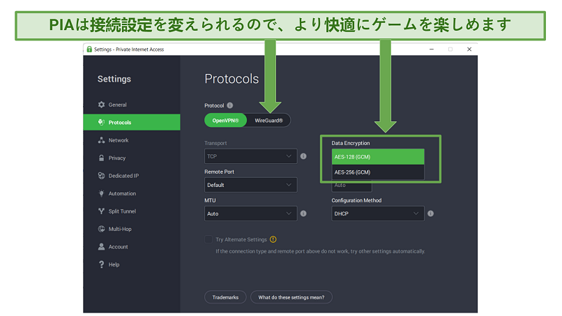 Screenshot of PIA's customizable security settings