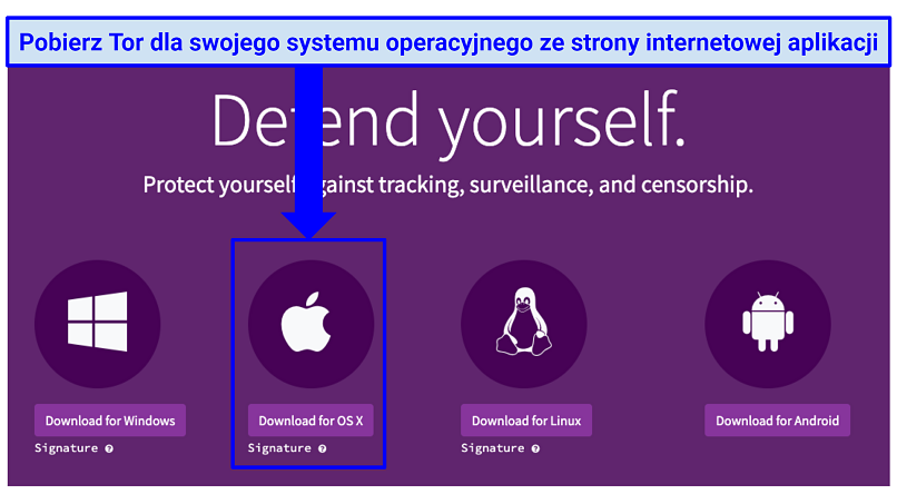 The Tor download webpage with indication of where to click to download Tor for OS X