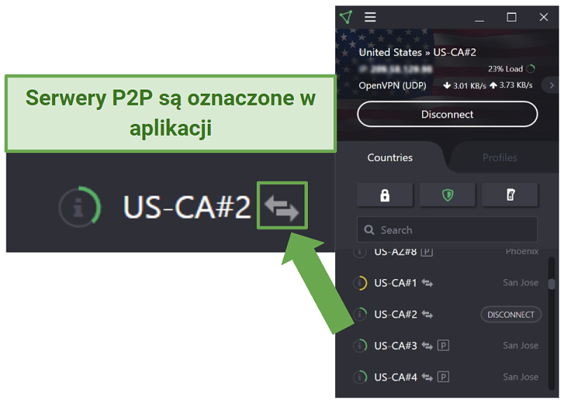 Screenshot of P2P servers in the Proton VPN app