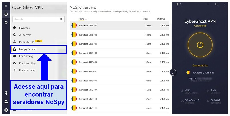 graphic showing NoSpy servers