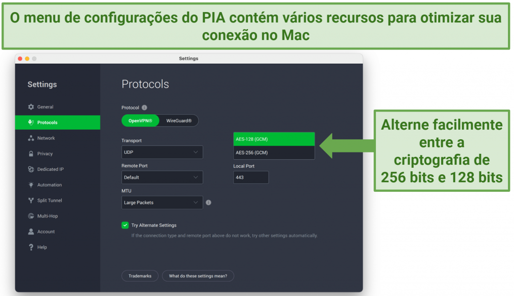 Screenshot showing how to toggle encryption levels on the PIA Settings menu