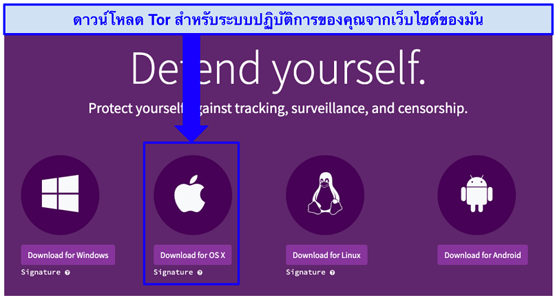 The Tor download webpage with indication of where to click to download Tor for OS X