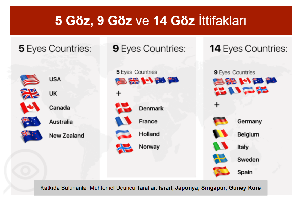 Infographic 5, 9, and 14 eyes