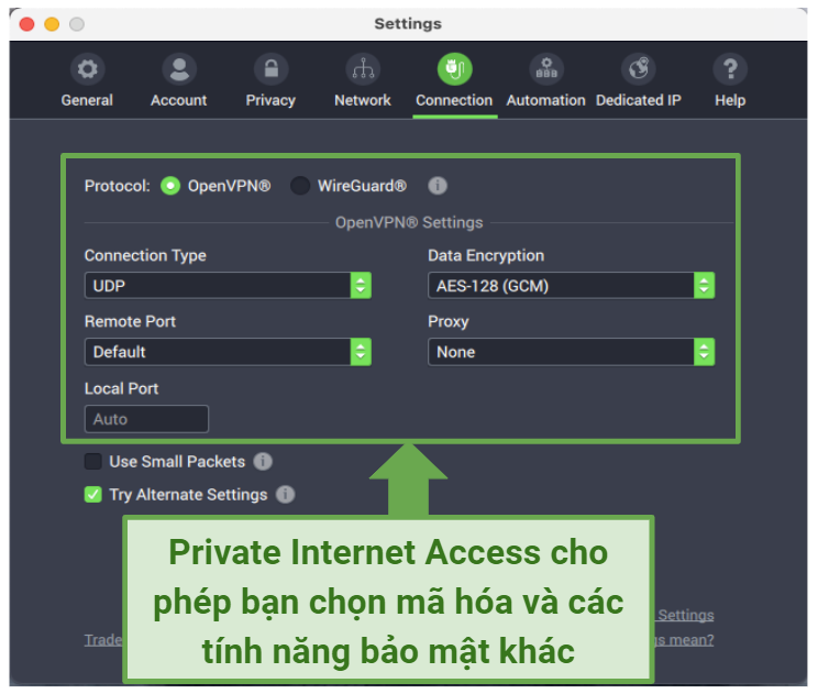 Graphic showing PIA security settings