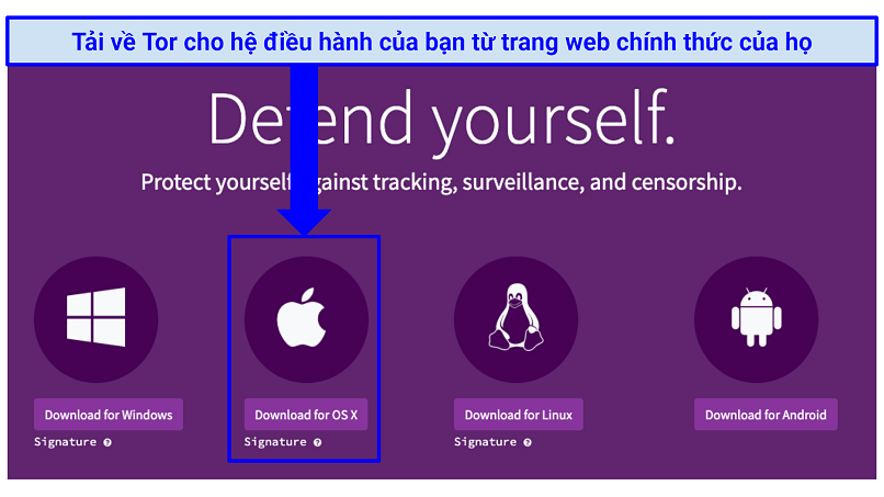 The Tor download webpage with indication of where to click to download Tor for OS X