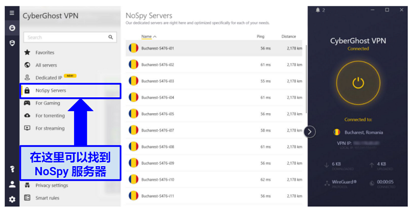 graphic showing NoSpy servers