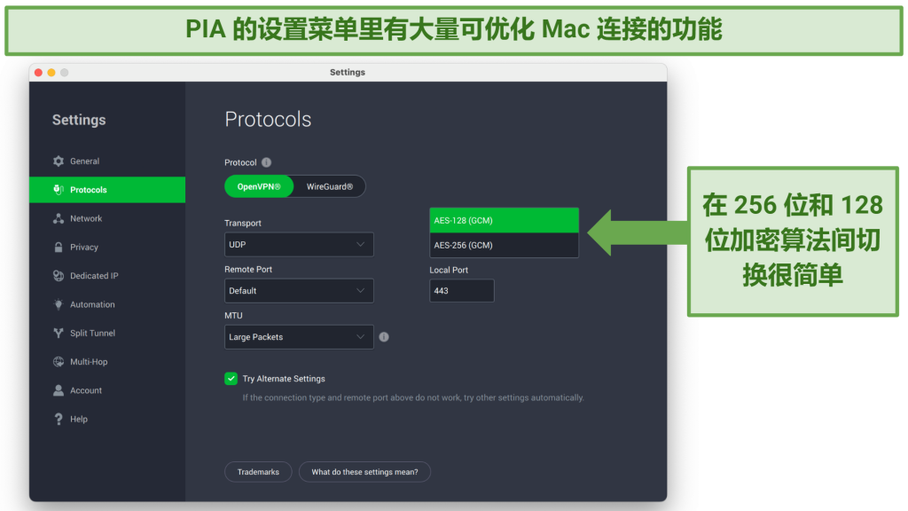 Screenshot showing how to toggle encryption levels on the PIA Settings menu