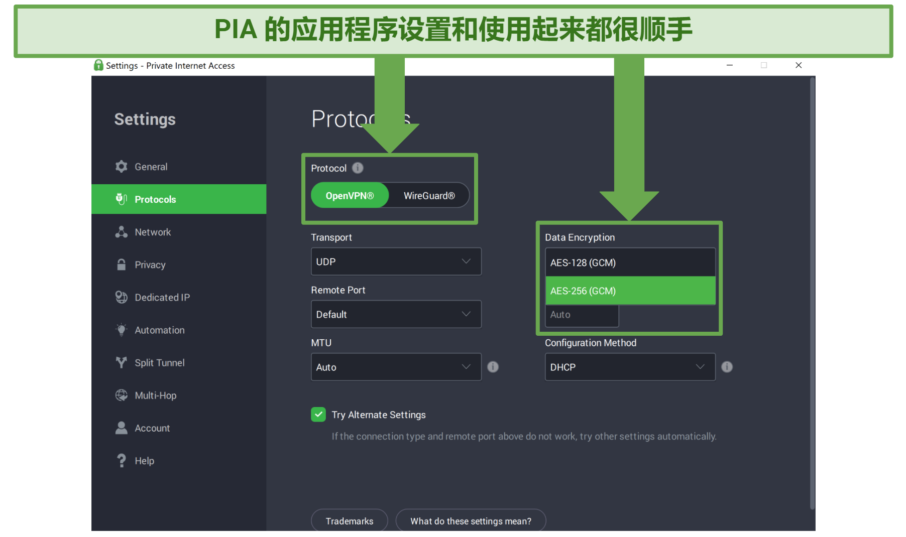 Screenshot of PIA's app showing the customizable settings